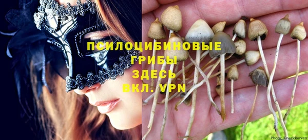 мет Нягань